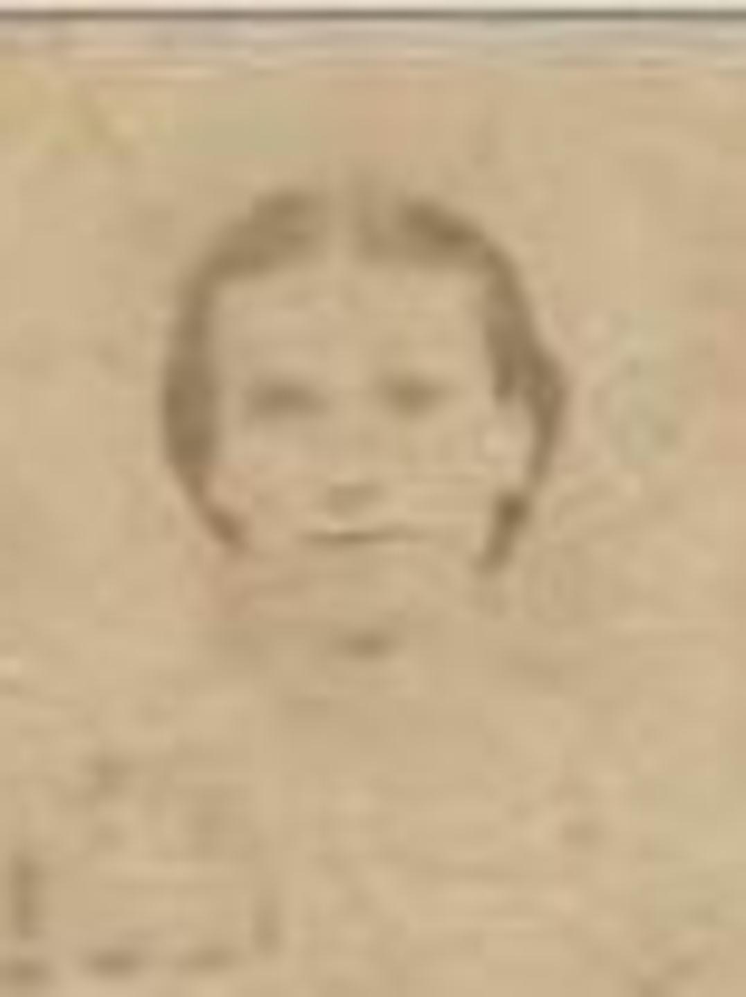 America Ann Neel (1839 - 1875) Profile